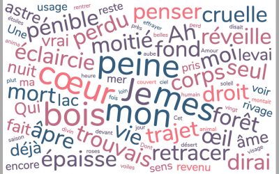 Traduire: le choix de la poésie